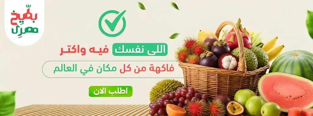 طريقة الدفع او السداد